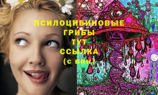 метадон Алексин