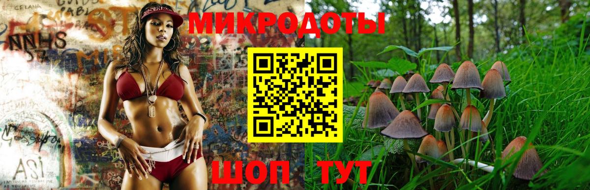 Нижнеудинск  Галлюциногенные грибы ЛСД  Вход с VPN 
